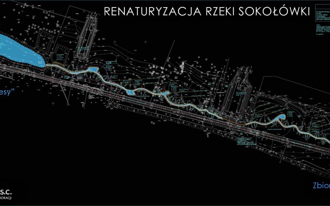 Renaturyzacja Sokołówki
