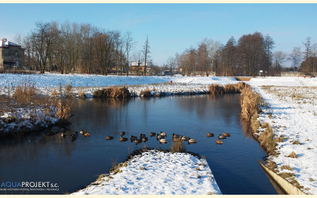 Zbiornik „Staw Wasiaka”